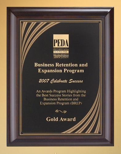 Dark Brown with Golden Plate Wooden Awards