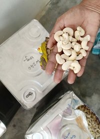 Cashew Nut W240 - Ivory Color | Bulk Packaging, Ideal For Cool & Dry Storage