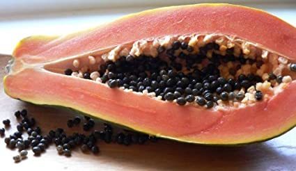 Malaysia Tropical Papaya Seeds For Sale Malaysia Tropical Papaya Seeds For Sale