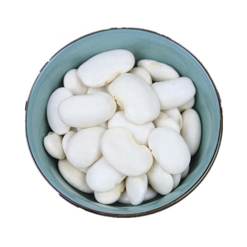 Best Quality Small Size White Kidney Bean With Cheap
