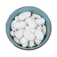 Best Quality Small Size White Kidney Bean With Cheap