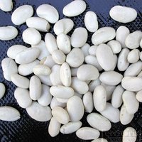 Premium White Kidney Beans .