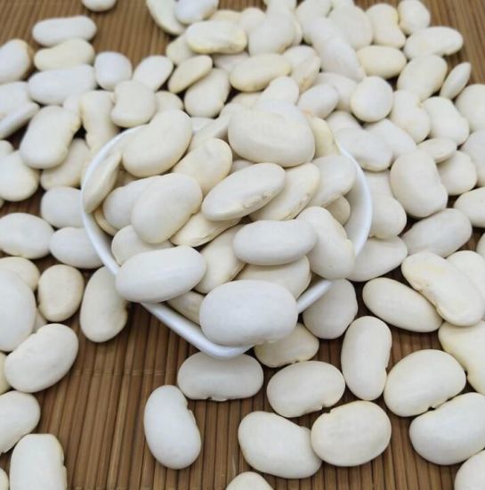 Pure White Kidney Bean