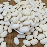 White Kidney Bean Navy Beans At Affordable Price.