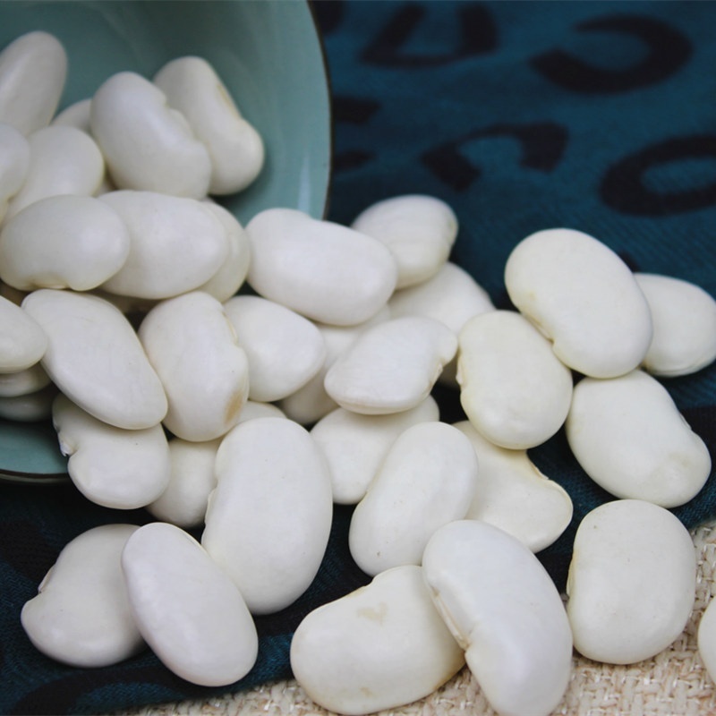 White Kidney Bean Navy Beans At Affordable Price.