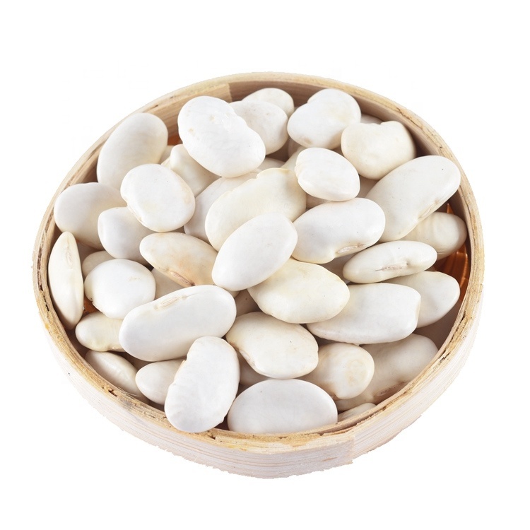 Premium Grade White Kidney Beans