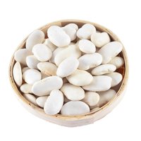 Premium Grade White Kidney Beans