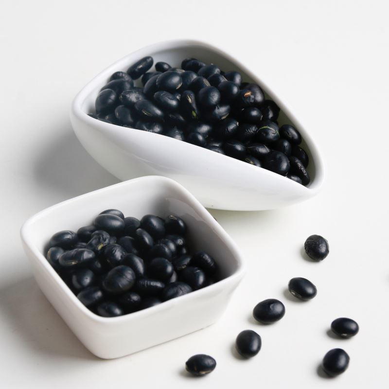 2020 Crop Large White Kidney Bean