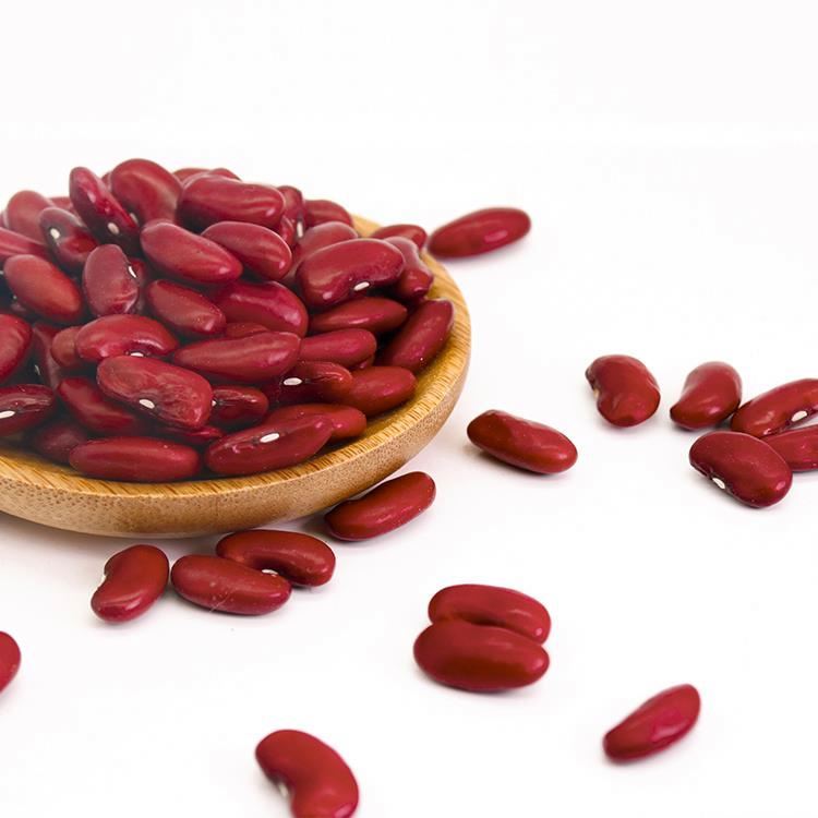 2020 Crop Large White Kidney Bean