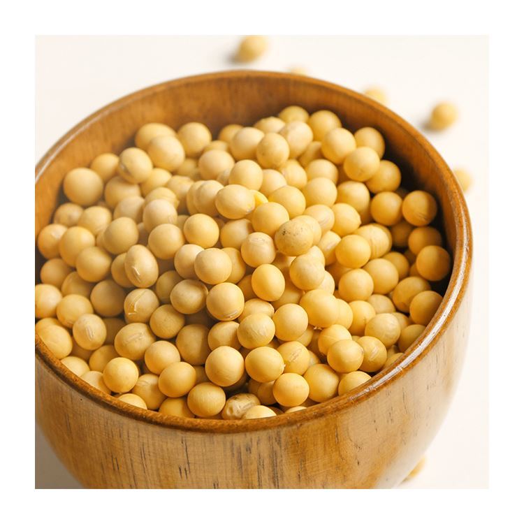 Polish White Kidney Beans