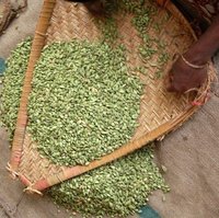 Green Cardamom 7-8mm