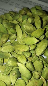 100% Fresh Large Size Green Cardamom Elachi Spice