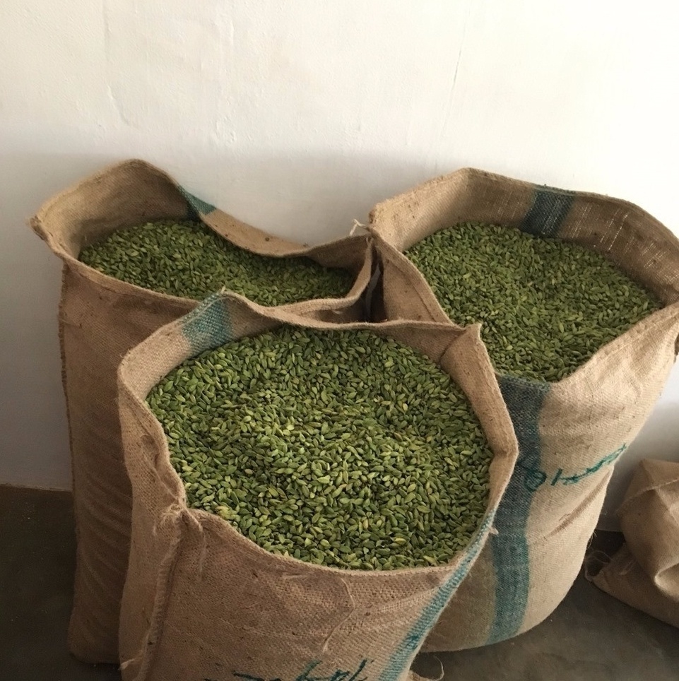Best Grade 8mm Green Cardamom For Sale