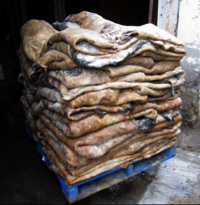 Salted Cow Hides Genuine Leather Dry And Wet Salted Donkey/goat Skin /wet Salted Cow Hides For Sale