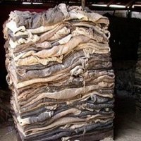 Wet/dry Blue Salted Cow Skin,wet/dry Salted Donkey Hides Available At Cheap Price