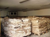 Grade A+ Animal Dry and Wet Salted Donkey/Goat Skin /Wet Salted Cow HidesGrade A+ Animal Dry And Wet Salted Donkey/goat Skin /wet Salted Cow Hides