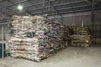 Top Quality Wet Salted & Dry Salted Donkey Hides & Cow Hides Cattle Hides Animal Skin Goat Leather