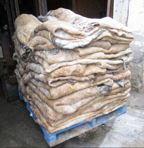 High Quality Dry And Wet Salted Donkey / Cow/goat Skin / Cow Hides