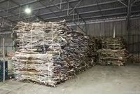 High Quality Dry And Wet Salted Donkey / Cow/goat Skin / Cow Hides