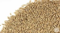 2020 High Quality Green Cumin Seeds And Fennel Seeds