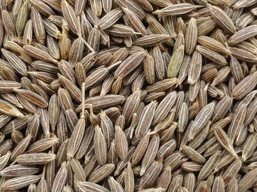 Cumin Seed