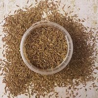 Cumin Exporter Of Bold Cumin Seed