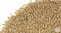 Single Herbs / Spices Products Types / Dried Style Cumin Seeds Exports