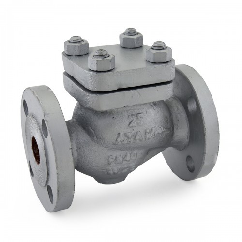 C.C.S. Horizontal Lift Check Valve (Flanged Ends )