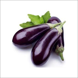 Fresh Brinjal