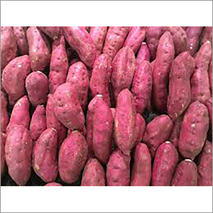 Sweet Potato