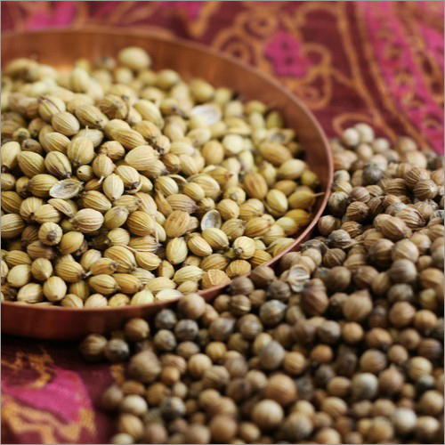 Coriander Seeds