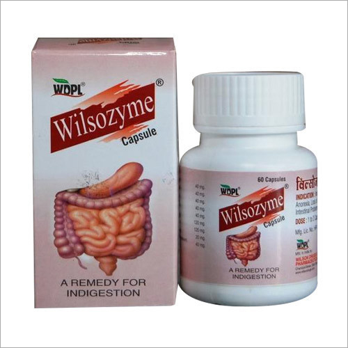 Ayurvedic Wilsozyme Capsules Age Group: For Adults