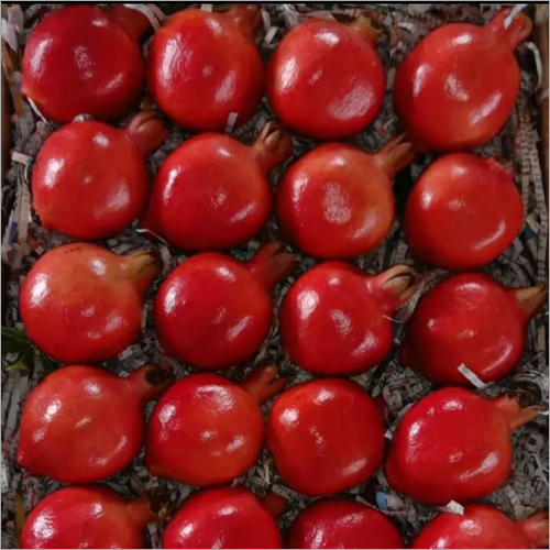 Red Pomegranate