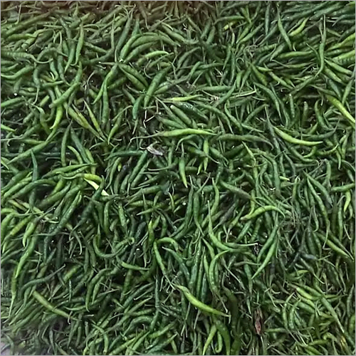 Fresh Green Chilli