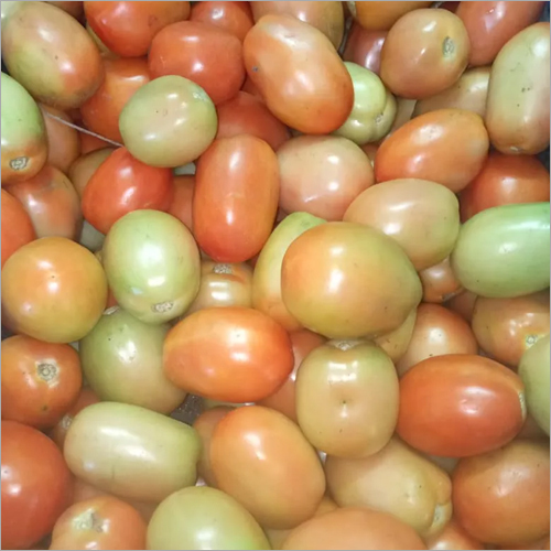 Fresh Tomato