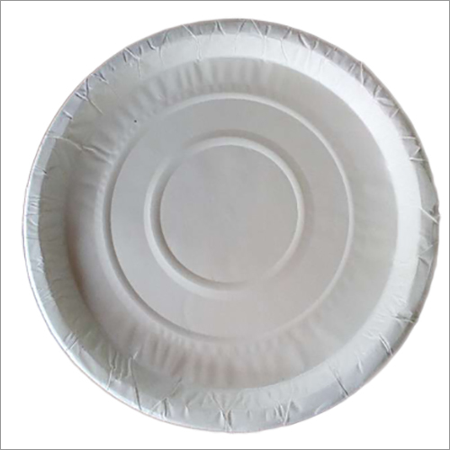 Disposable Paper Plates