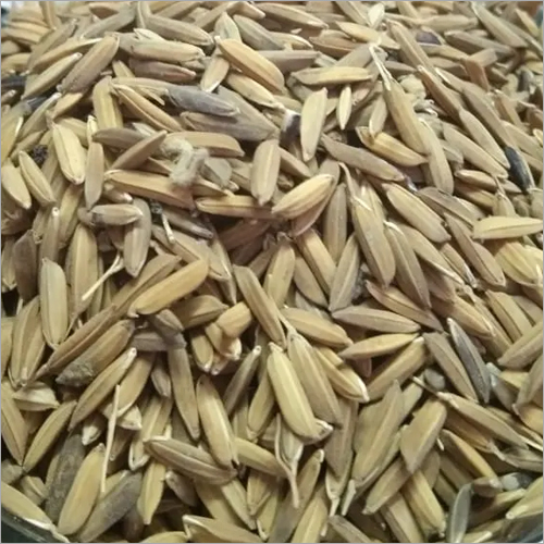 1 KG Organic Black Rice Paddy