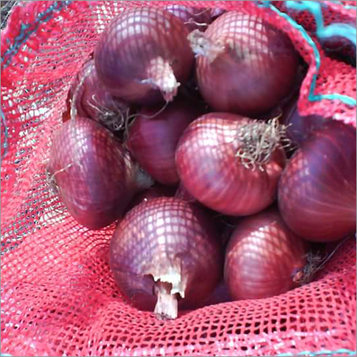 Fresh Onion - Red and Purple Varied Size, Round Shape, Mesh Bag | Crisp, Flavorful, Nutritious, Versatile