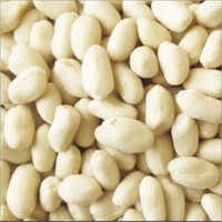White Blanched Peanut Kernel