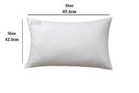 Sleeping Pillow