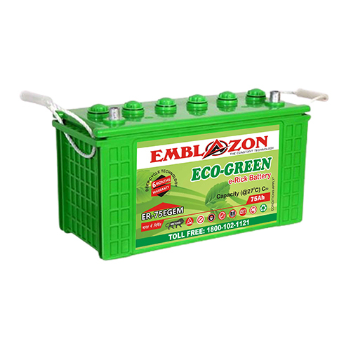 Eco-Green E-Rick Battery
