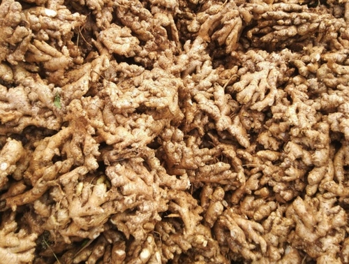 Fresh ginger