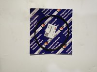 Liebher 10006499A O Ring