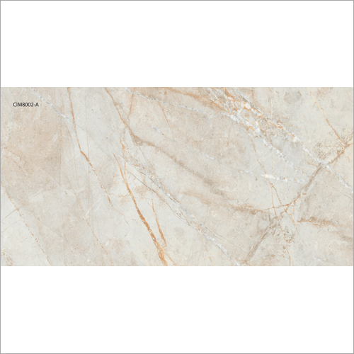 600X1200 GVT And PGVT Fancy Tile