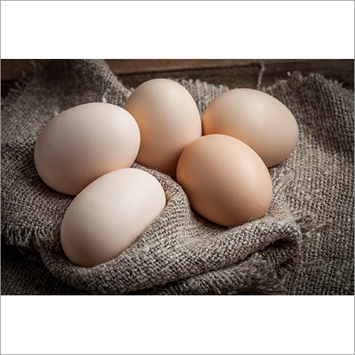 Farm Eggs Shelf Life: 10 - 15 Days