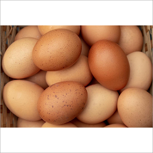 Selenium Eggs Shelf Life: 10-15 Days