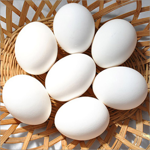 White Eggs Shelf Life: 10-15 Days