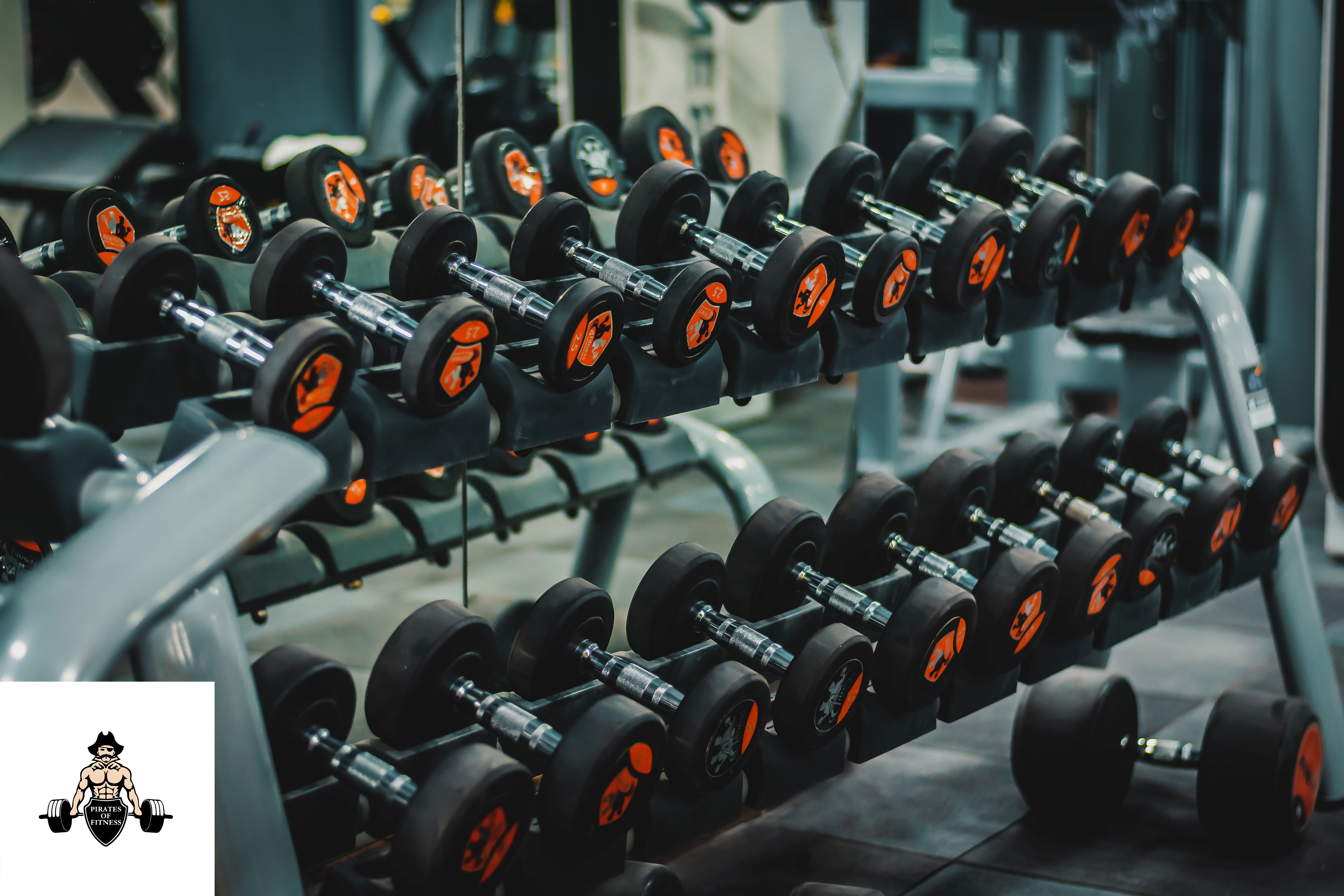 Gym Setup Services