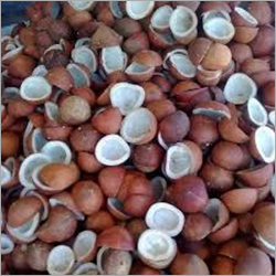 Dry Coconut