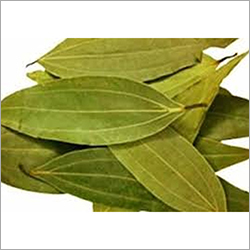 Cinnamon Leaves